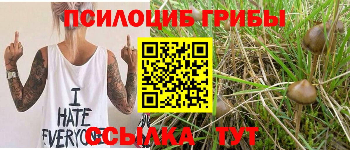 закладка  Псилоцибиновые грибы Magic Shrooms  Вход с VPN  Рязань 